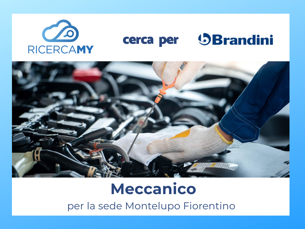 Meccanico – Area Usato